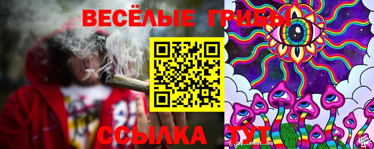 Галлюциногенные грибы мицелий Батайск